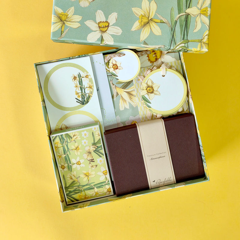 Daffodils Joy Gift Hamper