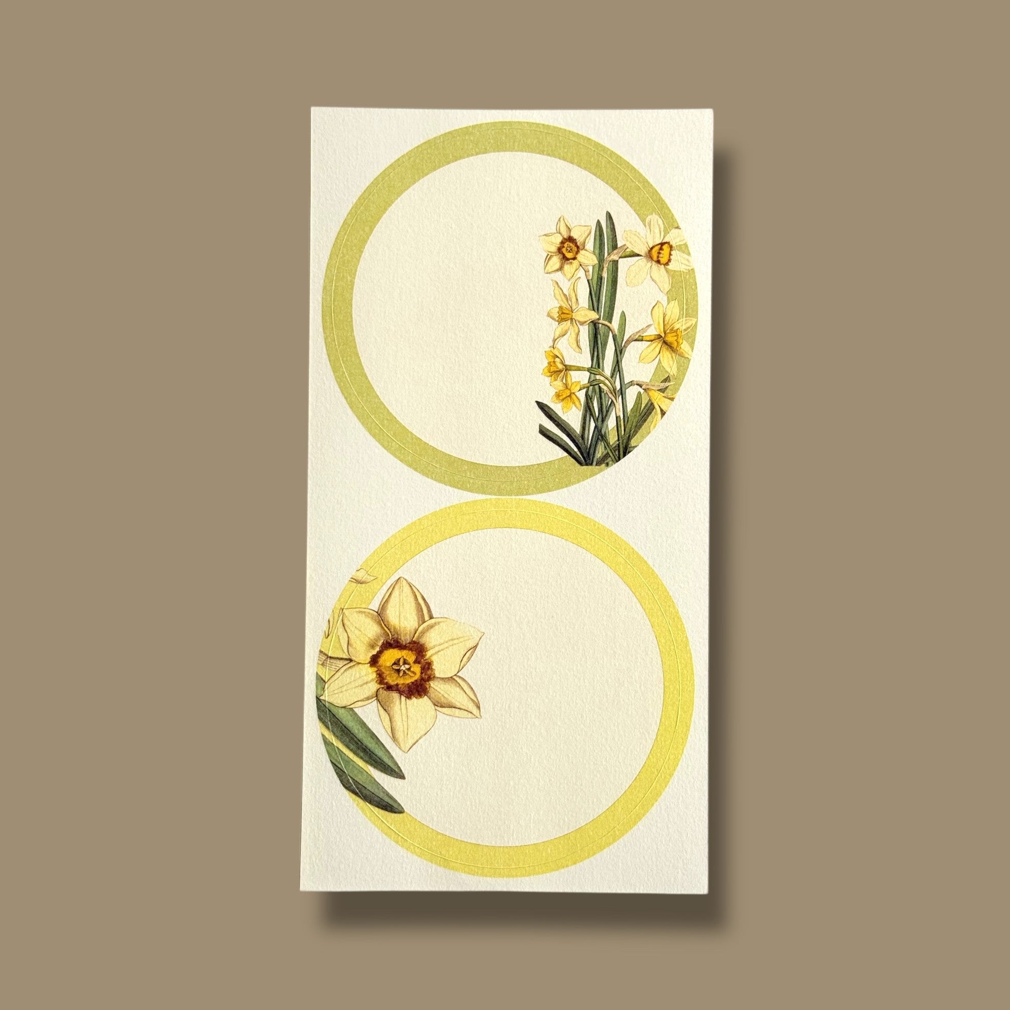 Daffodils Joy Gift Hamper