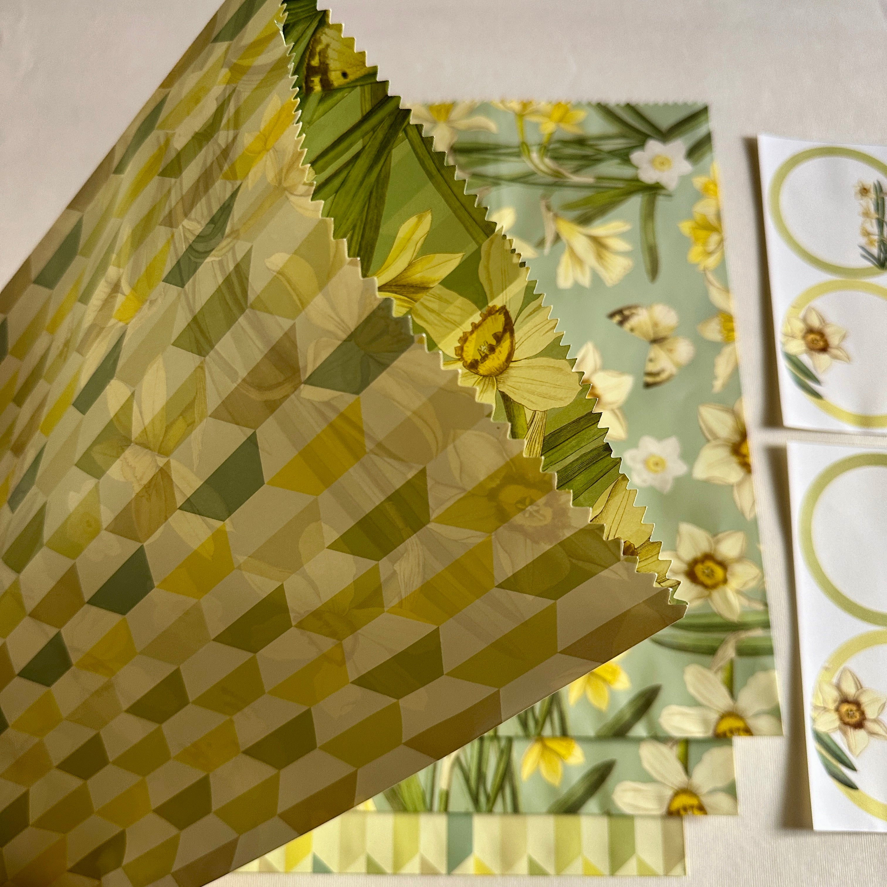 Daffodils Gift Envelopes and Stickers Set