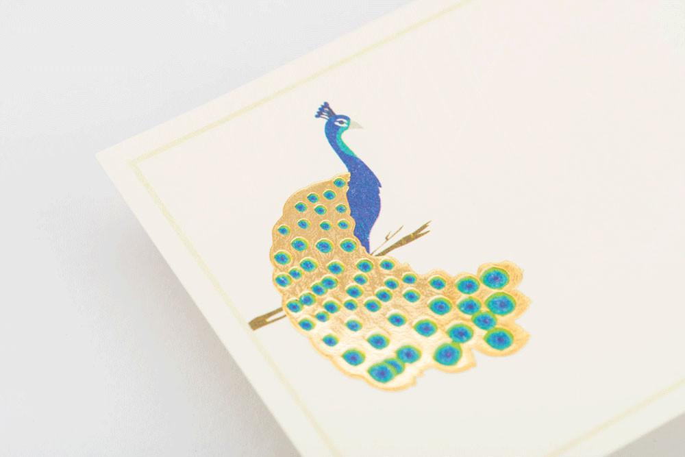 MorPopat & Alcazar Duo Kit