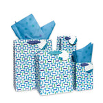 Alcazar Bottle Bags with Tissues