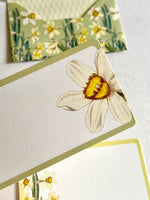 Daffodils & Metamorphosis Trio Kit