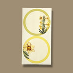 Daffodils Joy Gift Hamper