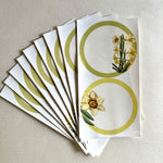 Daffodils Gift Set (Option 2)