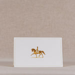 Dressage Horse with Rider