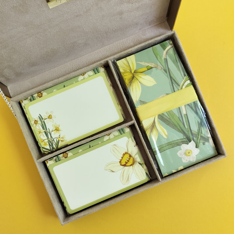 Daffodils Trio Kit (Option 2)