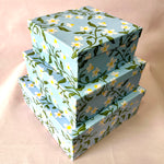 Ivy Blue Set of 3 Square Gift Box